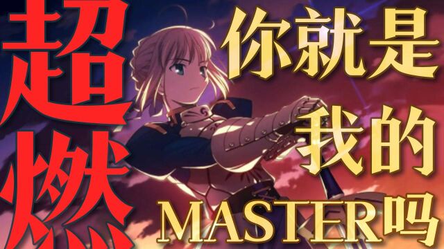 《Fate Zero》:你就是我的master吗