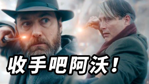 《神奇动物3》看懂了吗好看吗？除了邓布利多公开的秘密还剩下什么？！