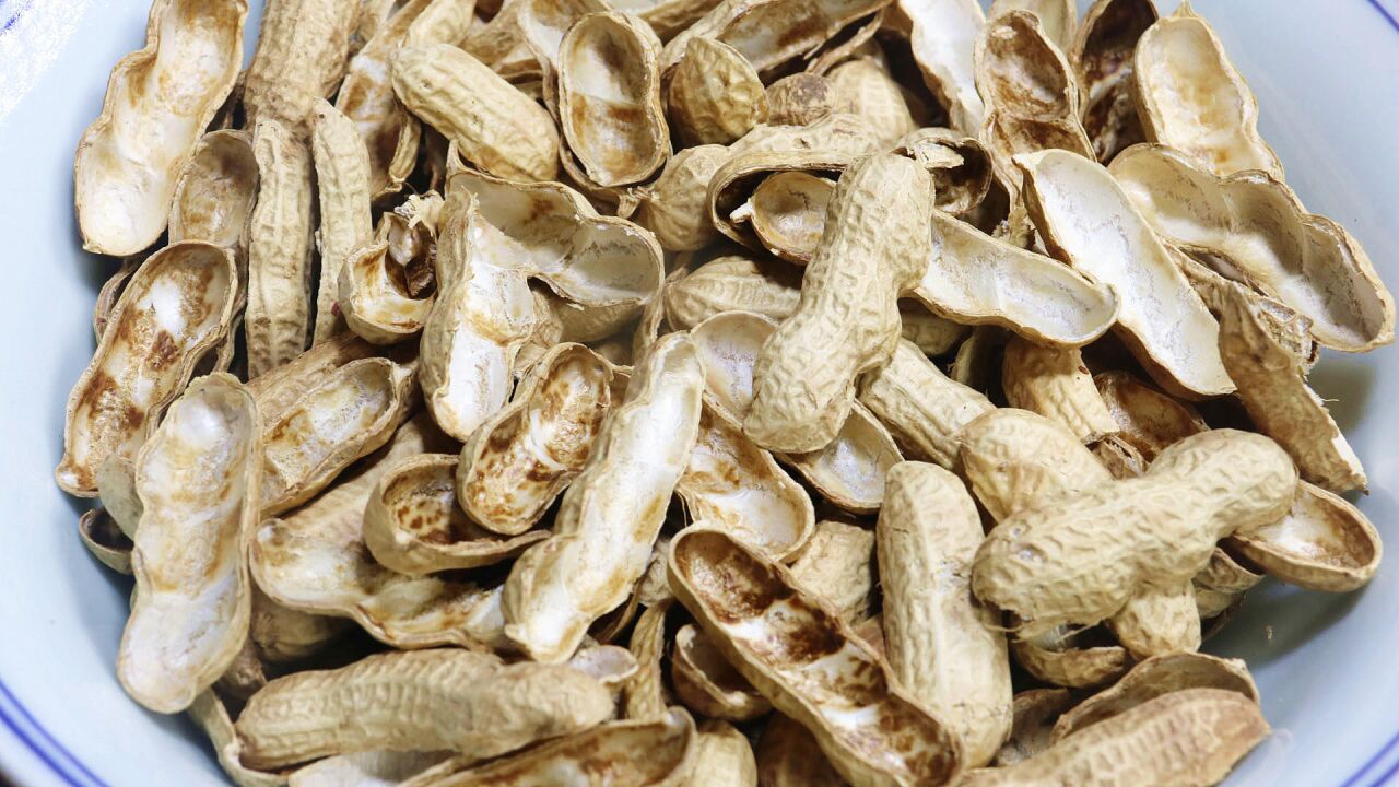 花生壳别再扔掉了,原来还是个宝贝好多人不懂有啥用,涨知识了