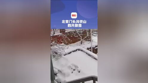 北京门头沟灵山四月飘雪 网友：仿佛一夜穿越回冬天