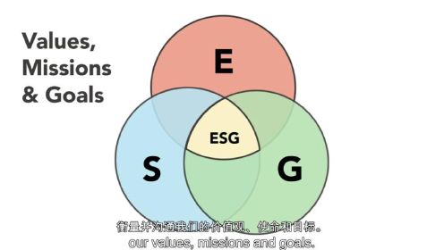 什么是ESG（环境、社会和公司治理）？