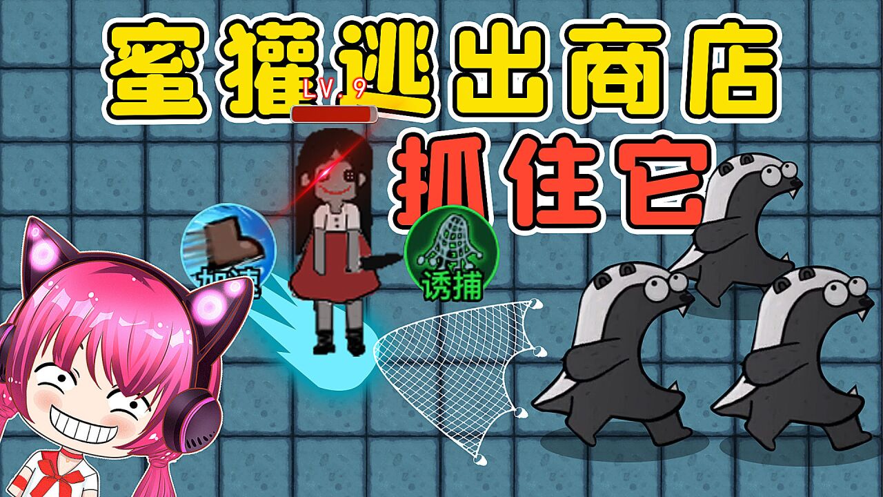 蜜獾从商店里跑出来了?快让猎梦者捉住它!秀儿解说
