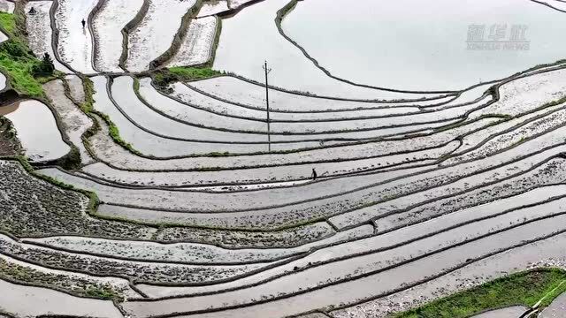 瞰武陵山间初夏“耕作图”