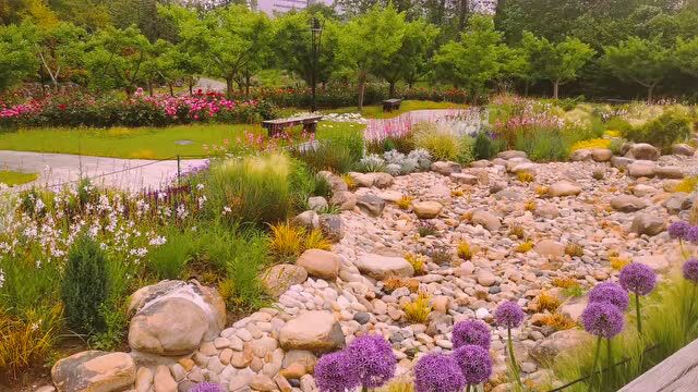 上海植物园添新景观～旱溪花境迎首秀(附视频美图)_腾讯新闻