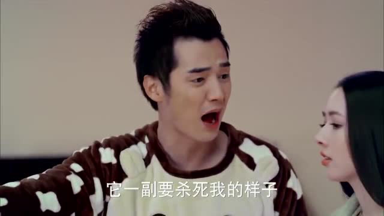 神犬小七:神犬半夜捉弄艾亮,不让他睡觉,艾亮要气炸了