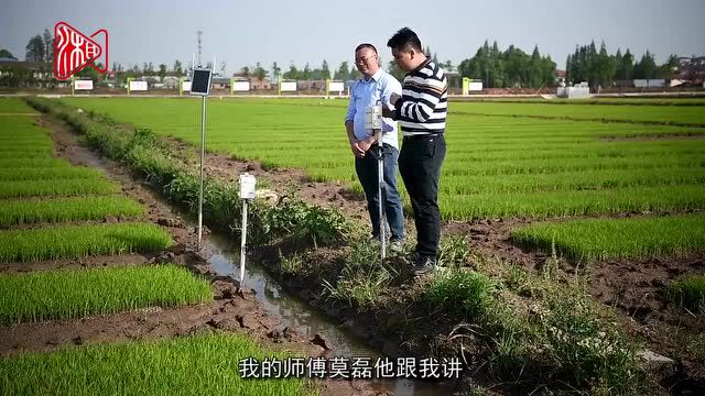 种田上云端,田间管理远程操作—— 人在城里,就把乡下的田种了