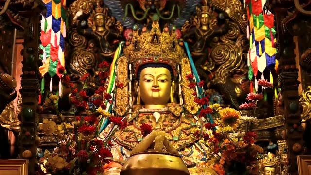 【藏传佛教僧尼访谈】霁月光风 不萦于怀——达扎活佛