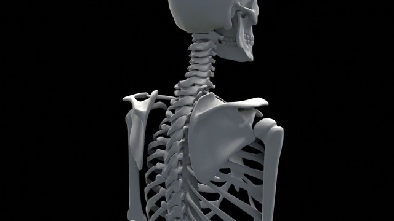 解剖人骨骼结构器官人体解刨学身体_高清1080P在线观看平台_腾讯视频