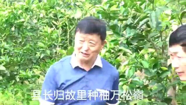 古稀县长樊孝其:青春离家花甲回,丘岗戴月荷锄归