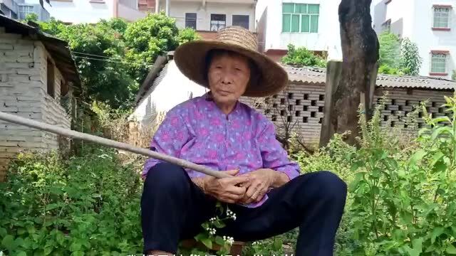 视频|超暖!茂名88岁奶奶每天对监控给孙女开吃播