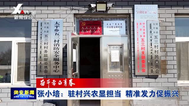 【奋斗者正青春】张小培:驻村兴农显担当 精准发力促振兴