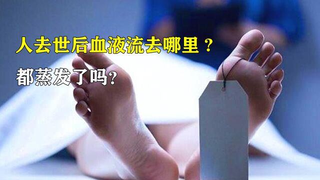 人死后血液会七窍流血?血液到底去了哪?尸斑是这么形成的吗?