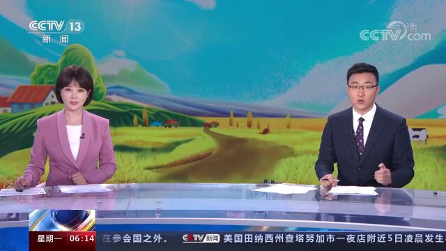 柳州柳江区:4万亩莲藕陆续进入采摘期