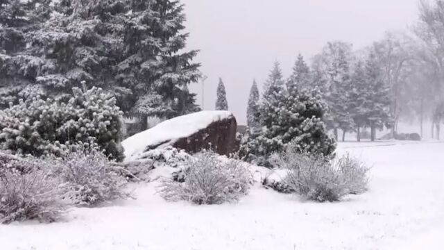 班得瑞经典轻音乐《初雪》,优美曲调清新脱俗很治愈