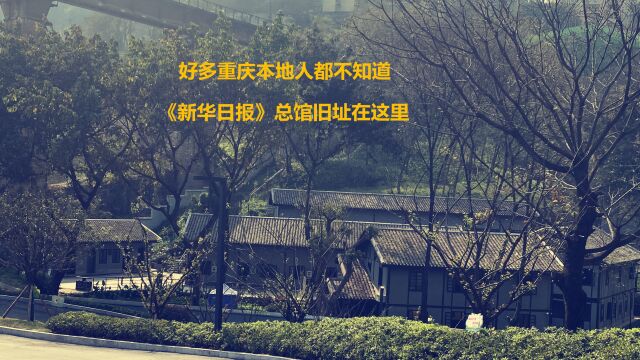 好多重庆本地人都不知道,《新华日报》总馆旧址在这里