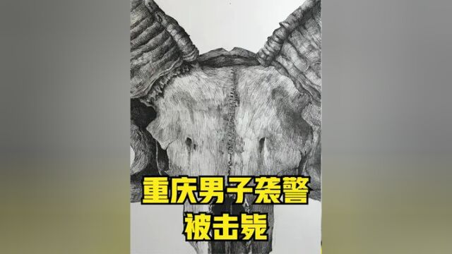 重庆男子袭警 被民警开枪击伤后死亡