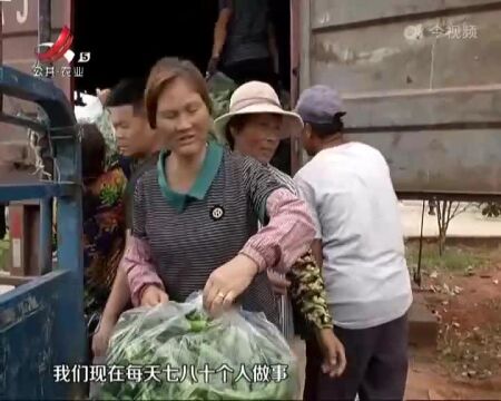 上饶余干:发展大棚经济 带动村民就业创收