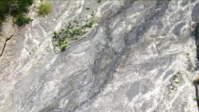 (电视通稿ⷥ›𝥆…ⷧ”Ÿ态)云南东川的绿色蝶变