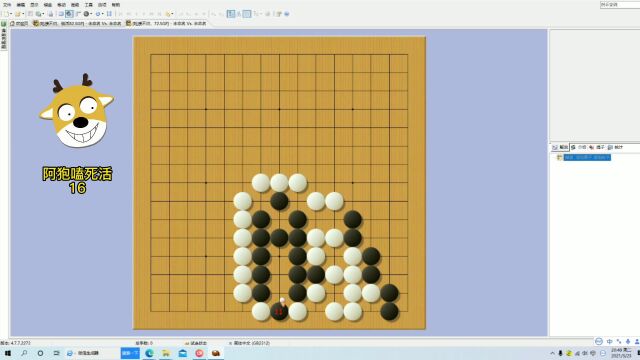 阿狍嗑围棋16,各种紧气做接不归的活棋技巧