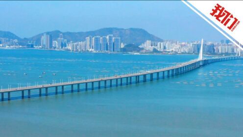 香港市民谈深圳湾大桥：乘巴士到内地仅半小时 去深圳湾喝茶比去中环还方便