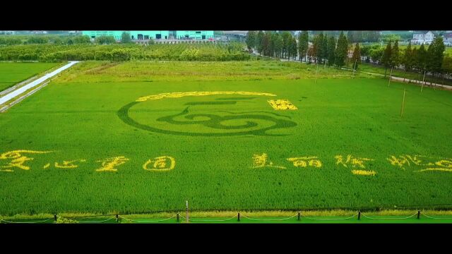 全国土地日知识竞赛网上答题活动预告来啦~