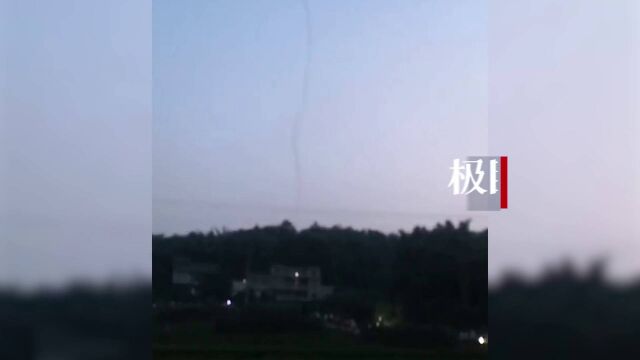 【视频】四川一村庄内现“白色烟雾”?专家:疑为摇蚊聚集,对人无害