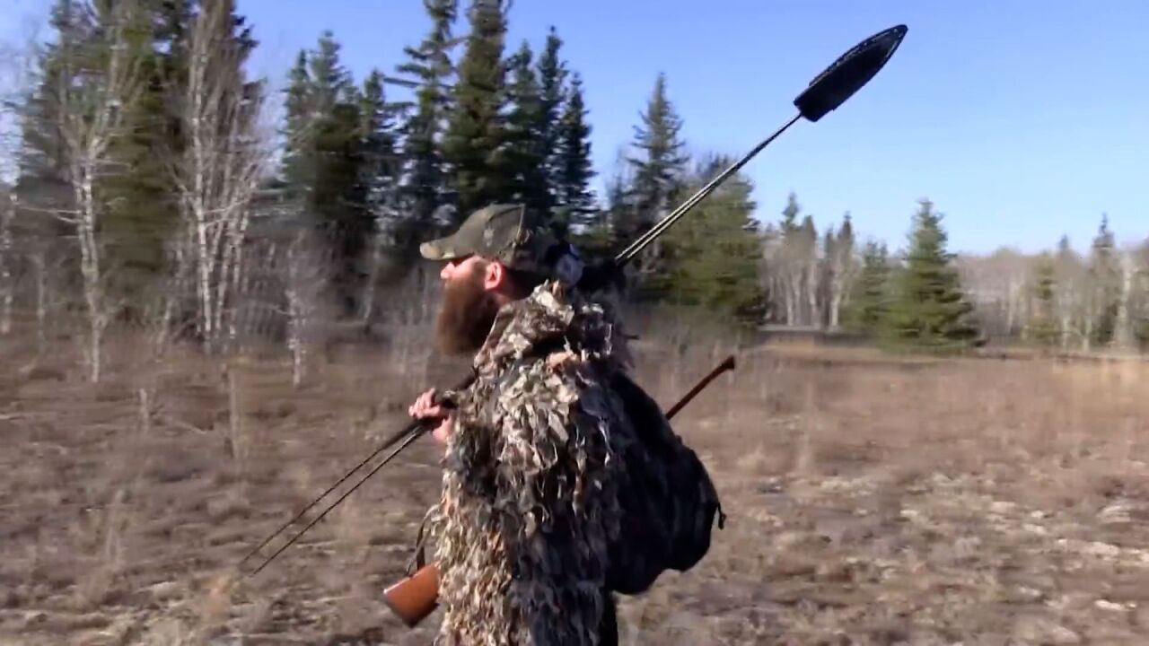 国外猎人合法狩猎,一头阿拉斯加棕熊,验证了冷兵器长矛的威力_腾讯