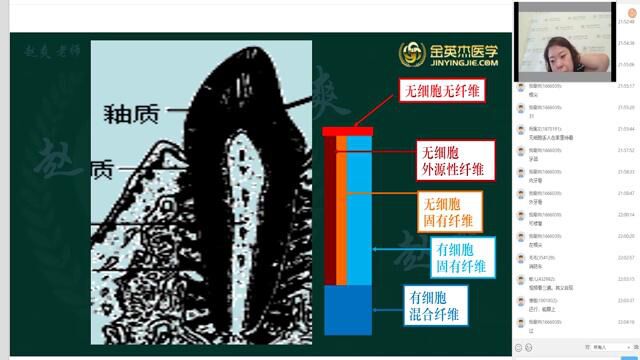 口腔主治医师考试10.第一单元口组3牙周组织口腔黏膜