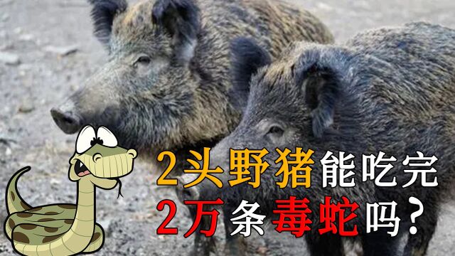 如果工作收入极高但要命,你愿意做吗?盘点世界最危险的十大工作