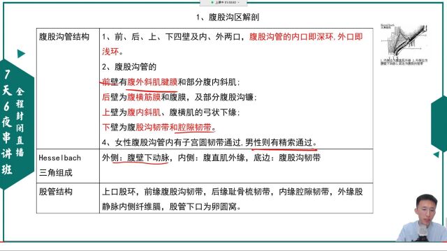 临床医学消化系统腹外疝