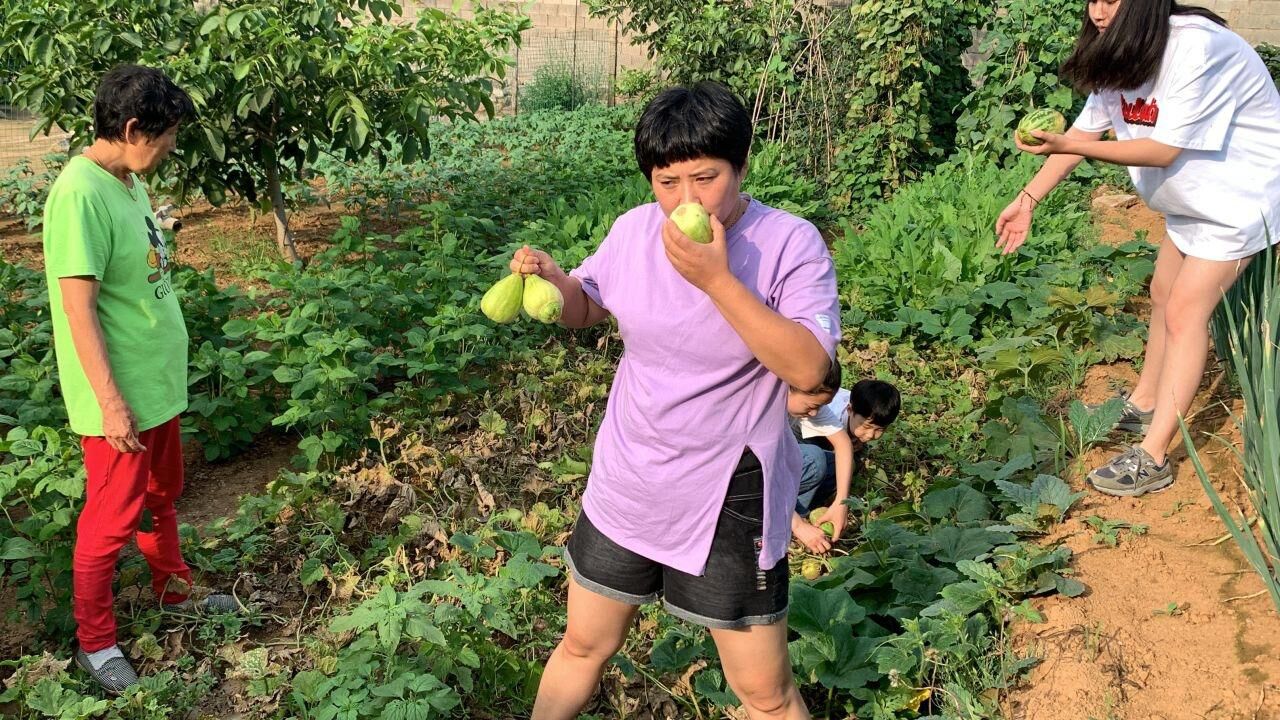 菜园里种的羊角蜜熟了,闻着特别香,甜在嘴里美在心里