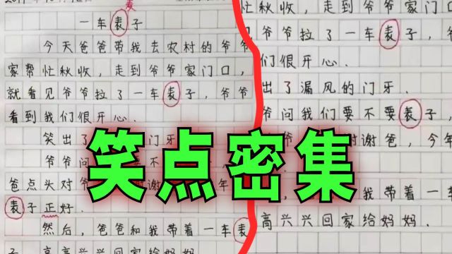 爆笑解说:小学生写错一个字,毁了一篇好作文!