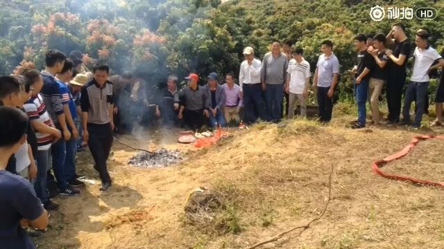 广东惠州博罗龙溪2017年4月4日清明祭祖随手拍#学佬话