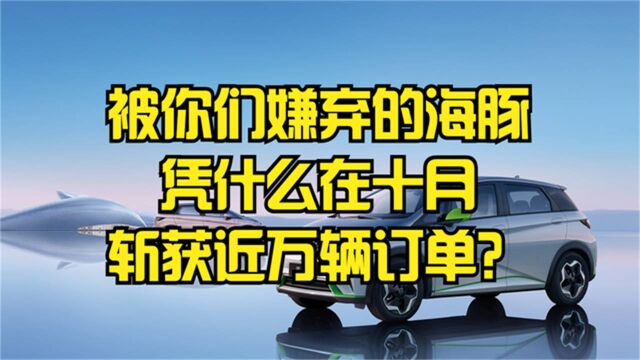 被你们嫌弃的海豚,凭什么在十月斩获近万辆订单?