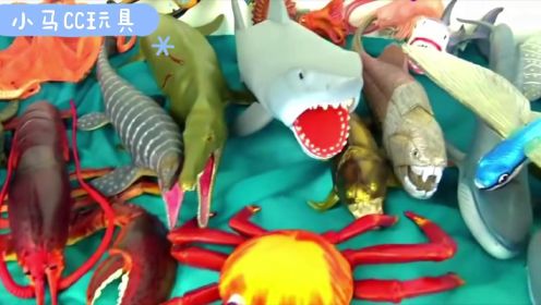 少儿野生动物园系列：来到海洋王国认识大白鲨螃蟹龙虾动物