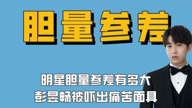 明星玩密逃时的胆量参差:彭昱畅被吓出连跪,白敬亭像在逛游乐园