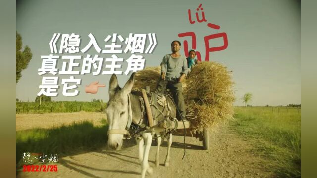 万字解读《隐入尘烟》