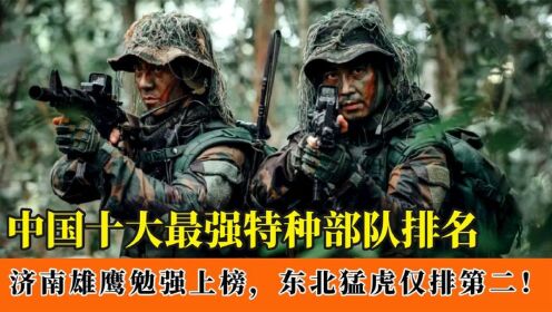 中国十大特种部队排名：济南雄鹰勉强上榜，东北猛虎仅排第二！_高清