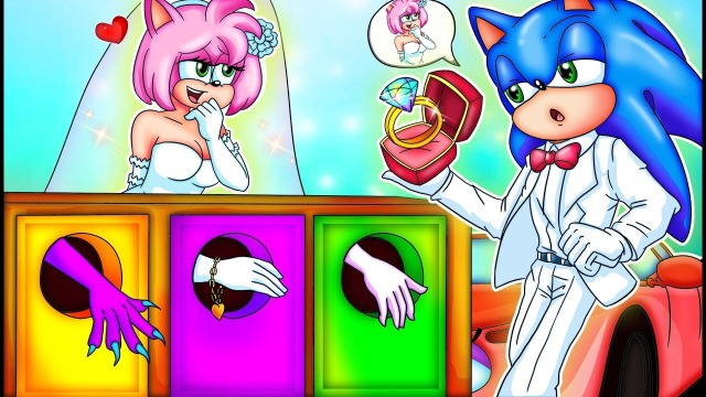 索尼克动画:索尼克的女朋友是谁?不要选择错