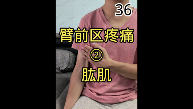 臂前区疼痛之肱肌触发点的牵涉痛区,成因以及按摩技法