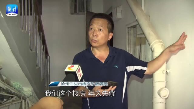 沧州泊头:小区改造才完成就掉墙皮,居民质疑施工质量