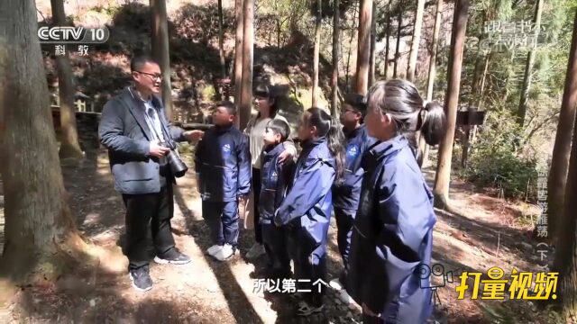 受家族文化的熏陶,徐霞客幼年便钟情于地经图志