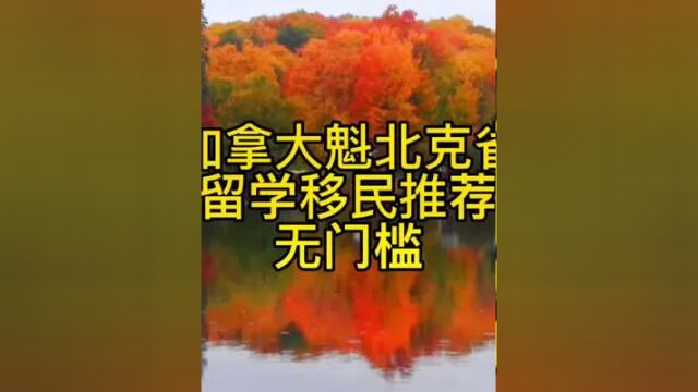 加拿大魁北克省,留学移民推荐,无门槛#加拿大 #留学#移民