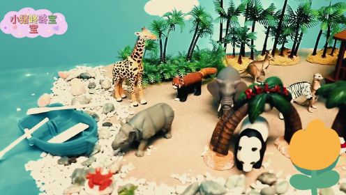 野生动物园故事系列：有趣精彩的动物玩具世界模型