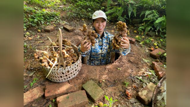 农村地窖拿小黄姜,新鲜大块的生姜,网友们买的太值了!