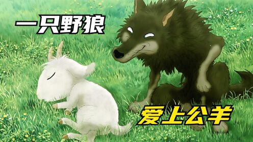 《翡翠森林：狼与羊》狼和羊跨种族相恋，被反对也要在一起
