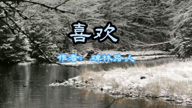 经典现代诗歌《喜欢》作者:碑林路人