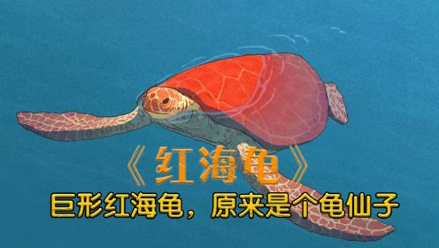 巨形红海龟，原来是个龟仙子