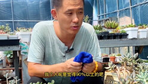 可乐刚哥2022-08-14 22:42:52分享001:09《苍兰诀》高甜!