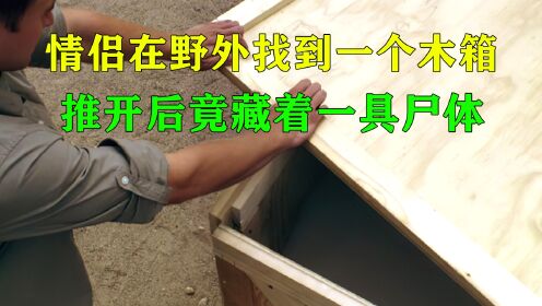 情侣在野外找到一个木箱，推开后竟藏着一具尸体《数字追凶》